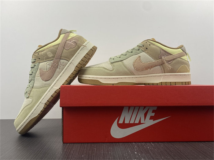 NK Dunk Low On the Bright Side DQ5076-121