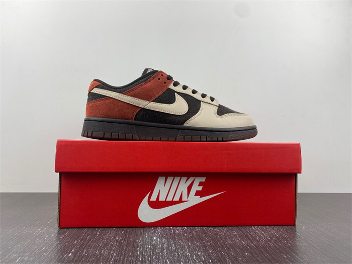 NK Dunk Low Red Panda FV0395-200