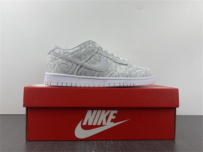 NK Dunk Low White Paisley DJ9955-100