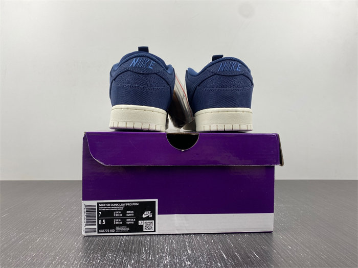 NK SB Dunk Low Pro PRM 90s Backpack DX6775-400