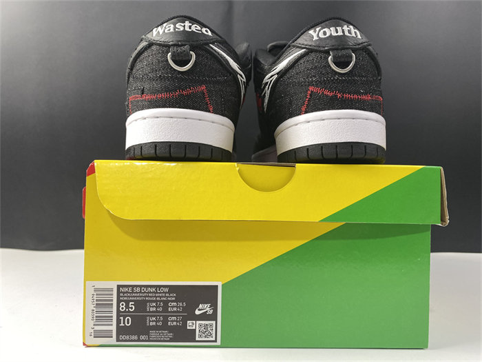 NK SB Dunk Low Wasted Youth DD8386-001