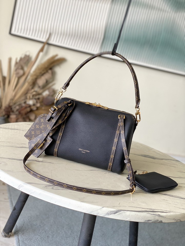 LV Shoulder bag/handbag