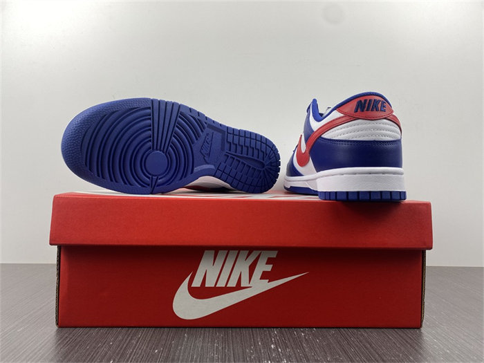 NK Dunk Low USA DD1503-119