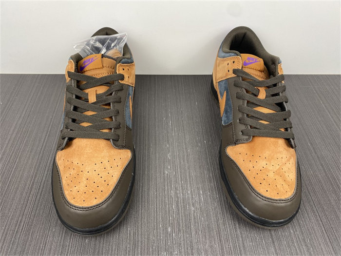 NK Dunk Low Cider DH0601-001