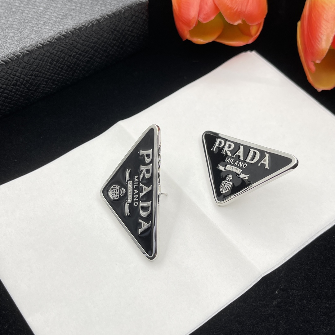 Silver Earrings 2Colors PPED-9110004