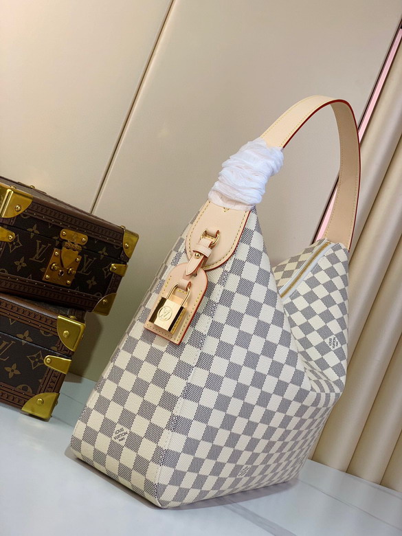 LV Shoulder bag/handbag