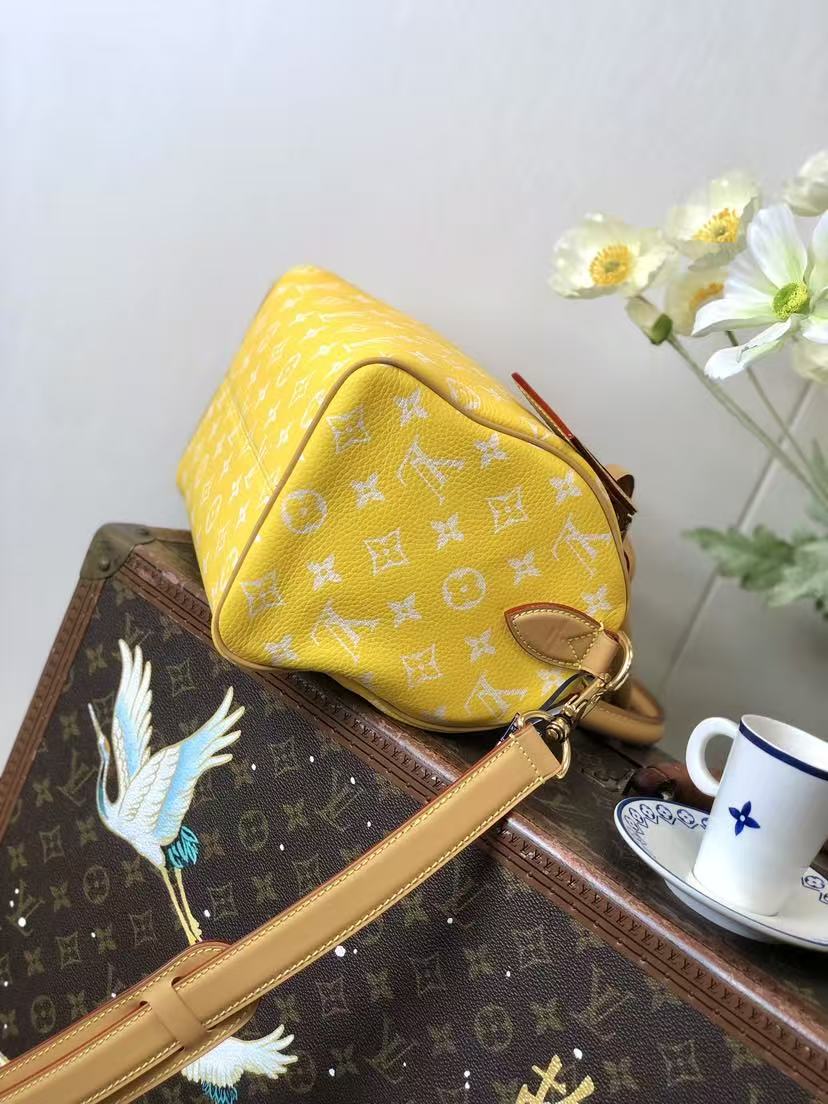 LV M24426  Speedy p9   2025 25*15*15CM