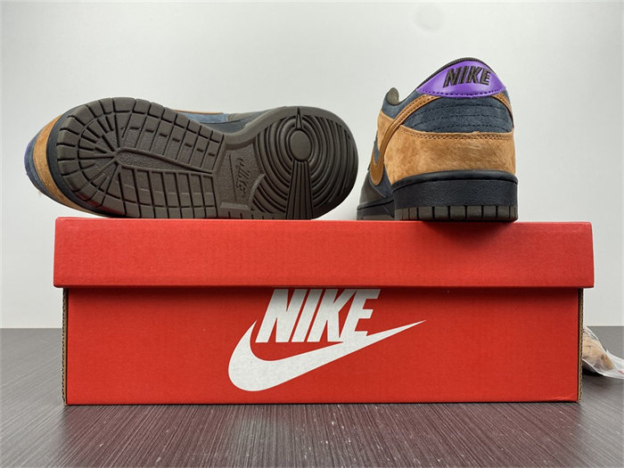 NK Dunk Low Cider DH0601-001