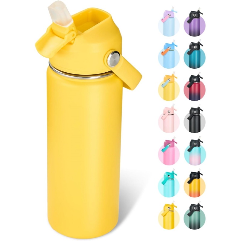 THERMOCLOUD 18oz Insulated Stainless Steel Water Bottle