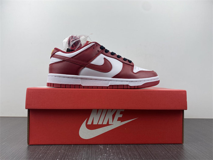 NK Dunk Low USC DD1391-602