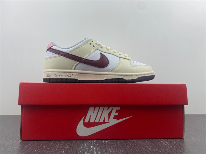 NK Dunk Low DD1503-117