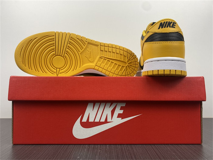 NK Dunk Low Championship Goldenrod DD1391-004