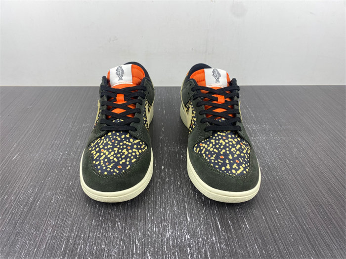 NK Dunk Low Rainbow Trout FH7523 300
