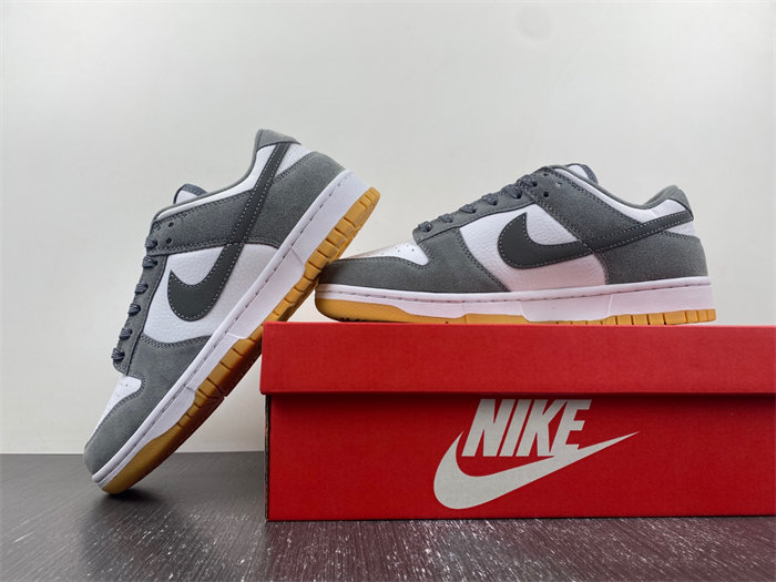 NK Dunk Low FV0389-100