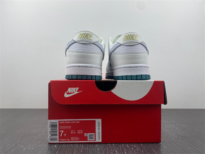 NK DUNK LOW 2023 FD9911-101