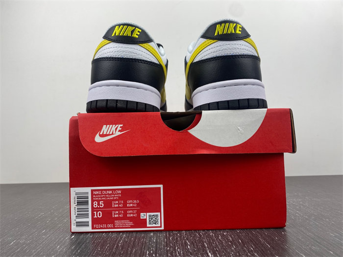 NK SB Dunk Scrap LowWolf Grey FQ2431-001