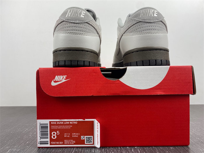 NK Dunk Low Ironstone FD9746-001