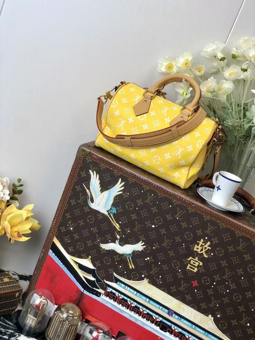 LV M24426  Speedy p9   2025 25*15*15CM