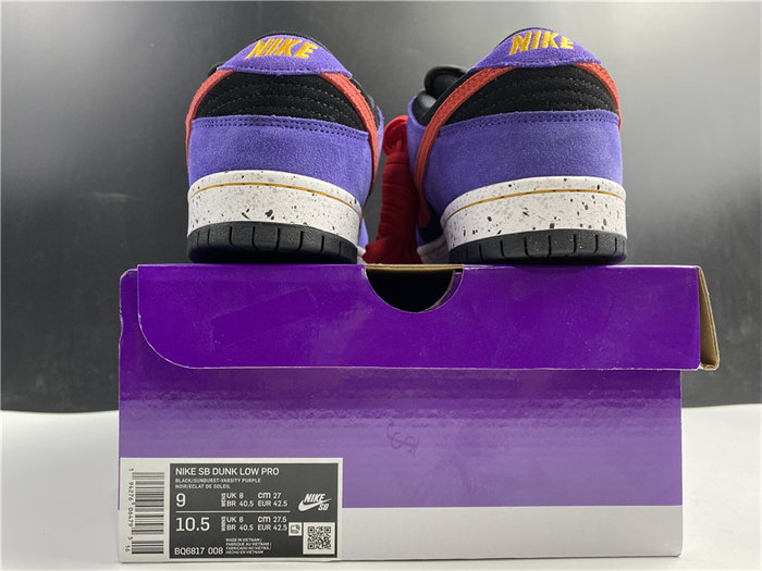 NK SB Dunk Low ACG Terra BQ6817-008