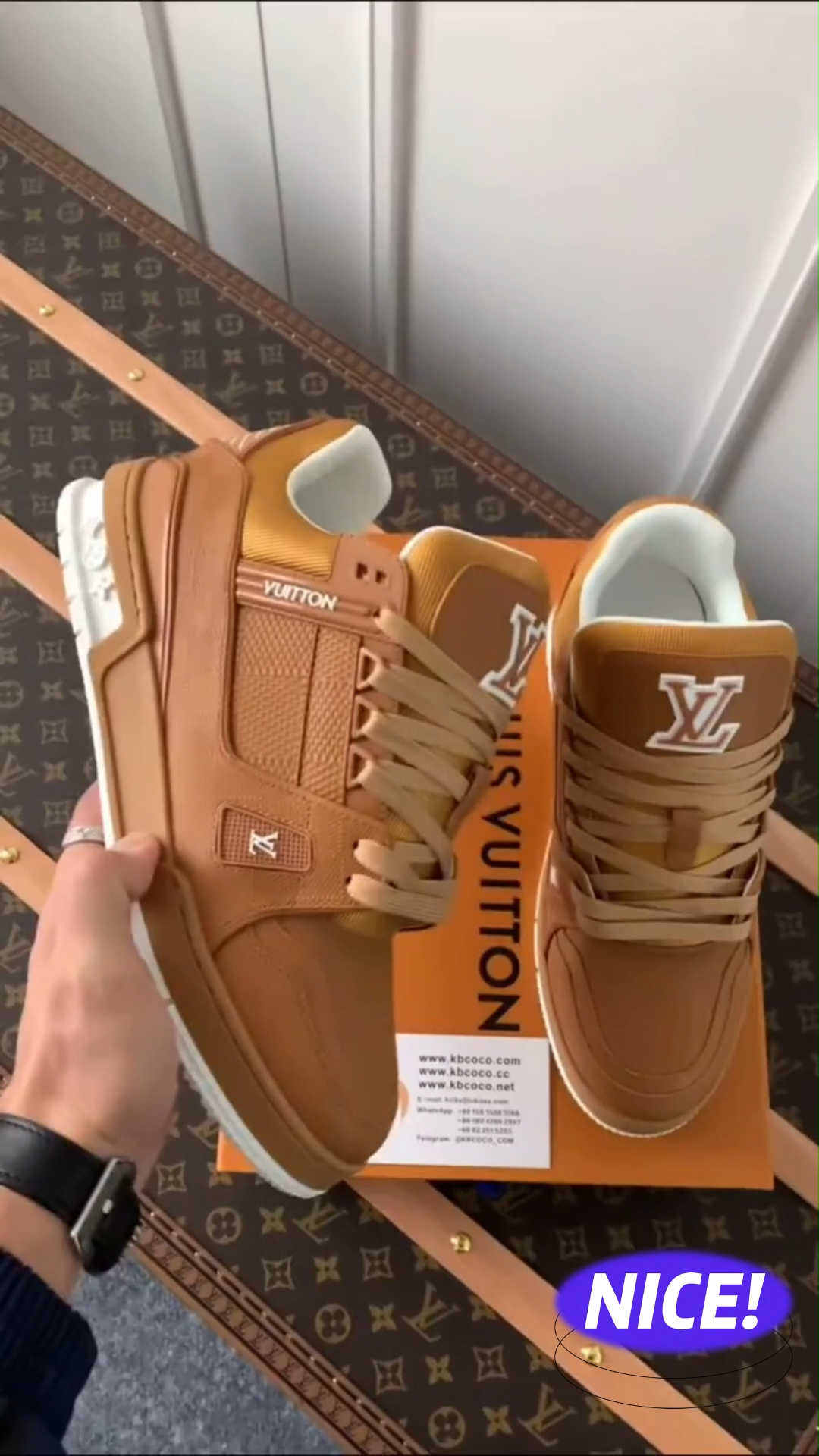 LV  Trainer Sneaker ‘Damier Cognac’