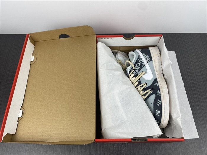 NK Dunk Low RETRO DD1503-109
