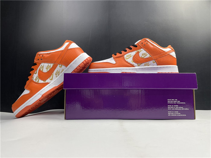 NK SB Dunk DH3228-181