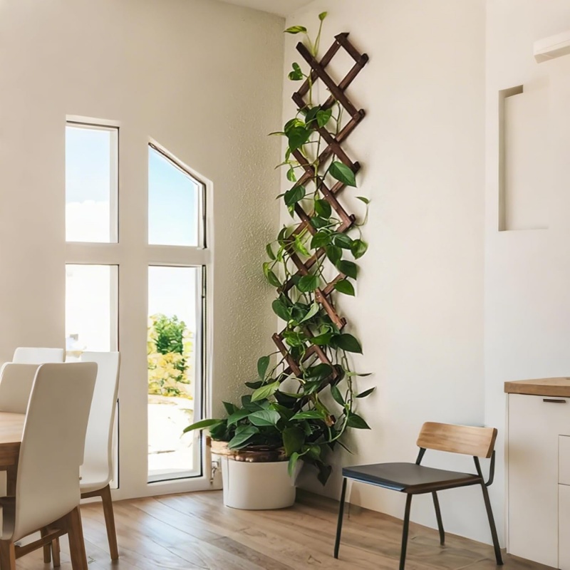 GREENFOLD Expandable Garden Trellis