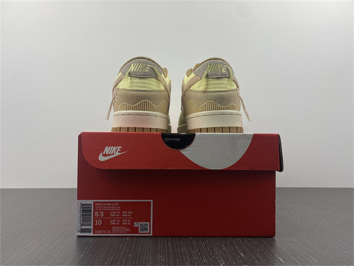 NK Dunk Low On the Bright Side DQ5076-121