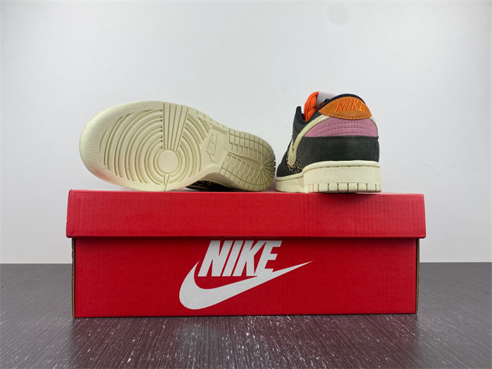 NK Dunk Low Rainbow Trout FH7523 300