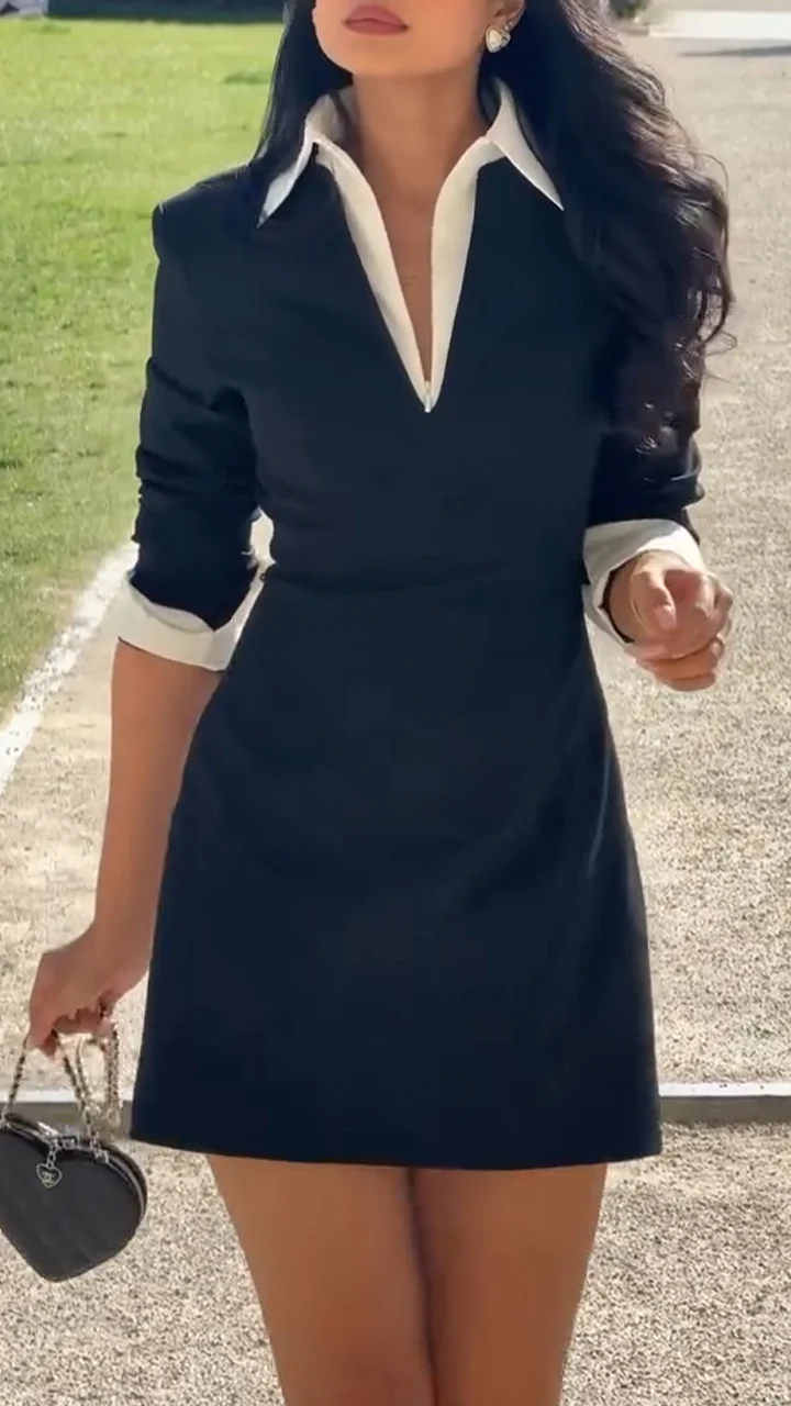 Ladies' Lapel Temperament Commuting Dress