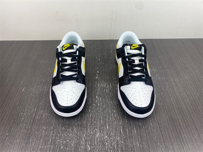 NK SB Dunk Scrap LowWolf Grey FQ2431-001
