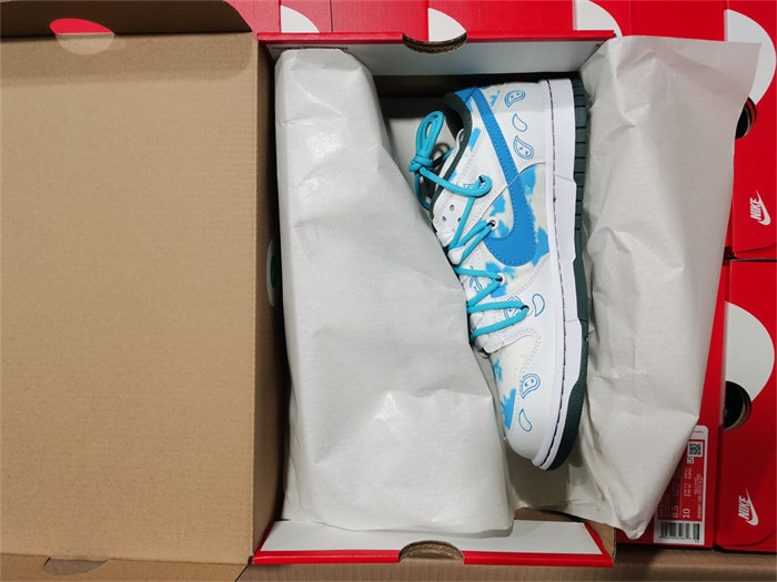 NK Dunk Low RETRO DH0957-100