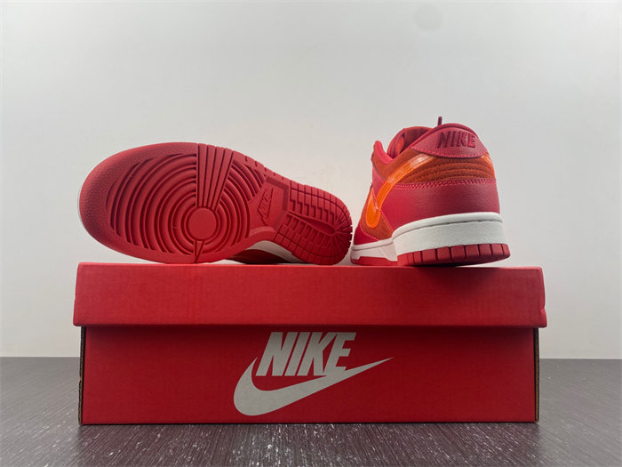 NK Dunk Low ATL FD0724-657