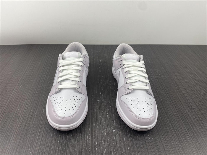 NK Dunk Low Venice DD1503-116