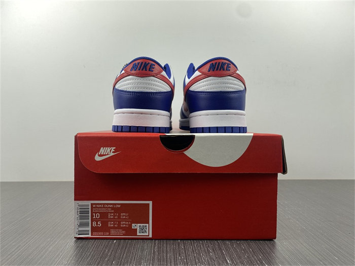NK Dunk Low USA DD1503-119