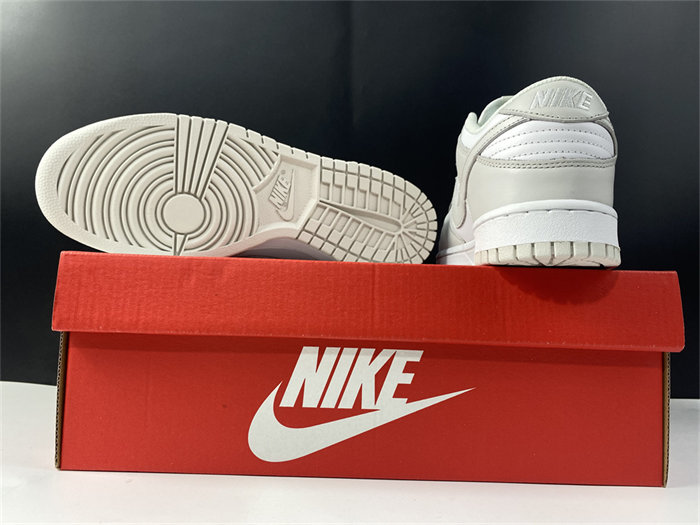 NK Dunk Low Photon Dust DD1503-103