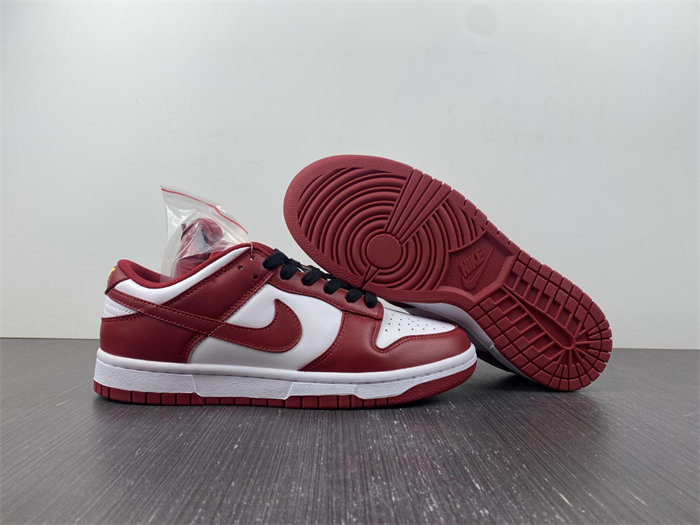 NK Dunk Low USC DD1391-602
