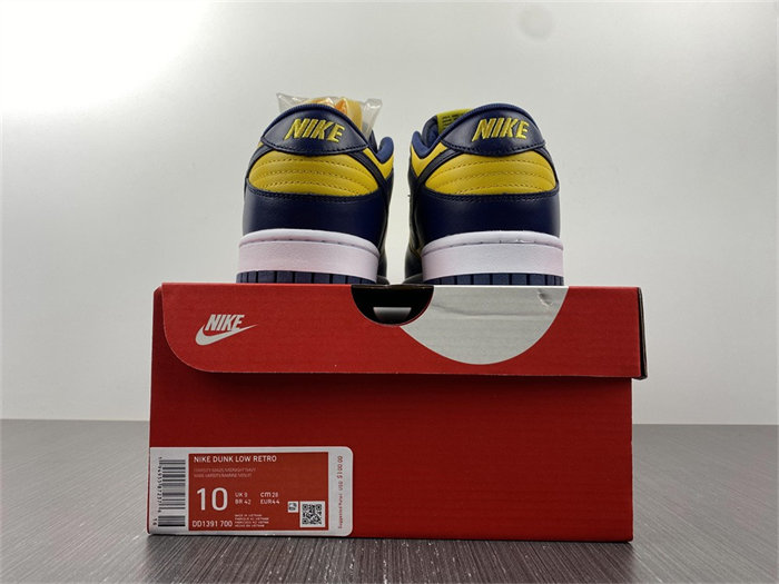 NK Dunk Low Michigan DD1391-700
