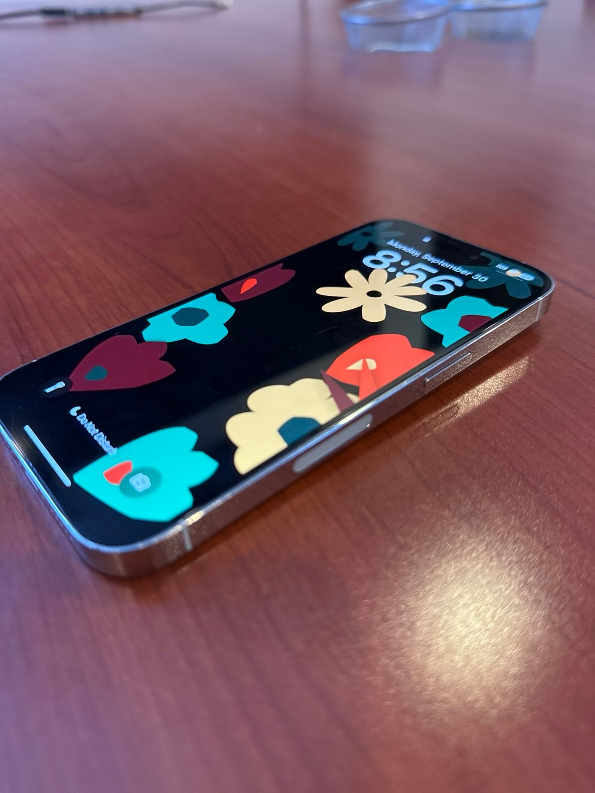 iPhone 14 Pro 1F73