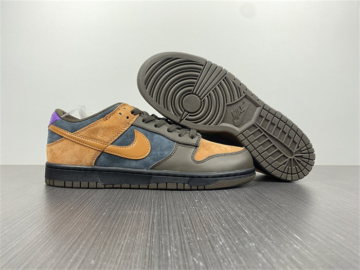 NK Dunk Low Cider DH0601-001