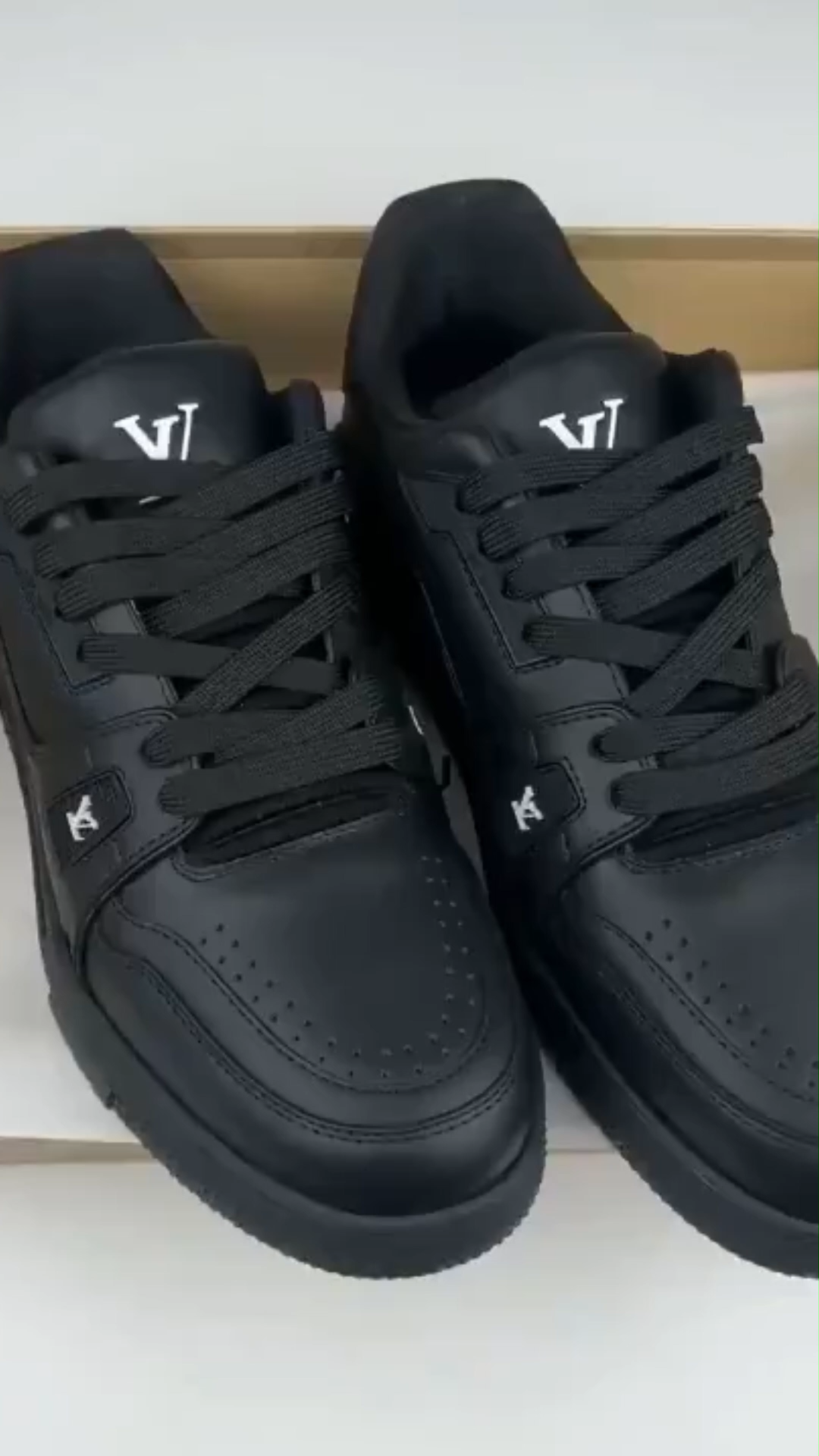 LV TRAINER