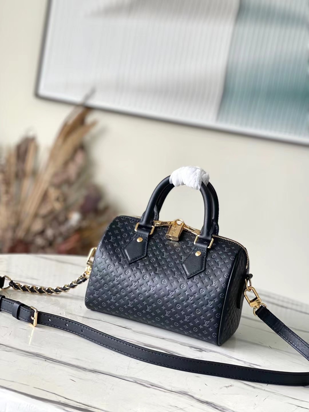 LV Nanogram Speedy 20 M22595 Size：20.5x13.5x12cm