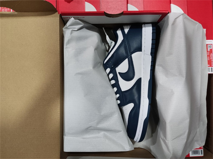 NK Dunk Low Valerian Blue DD1391-400