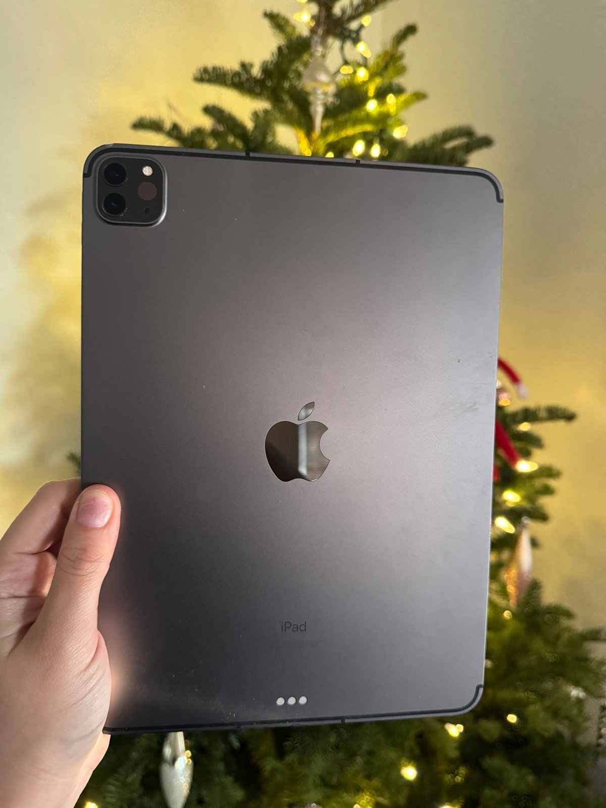 iPad Pro 2Q88