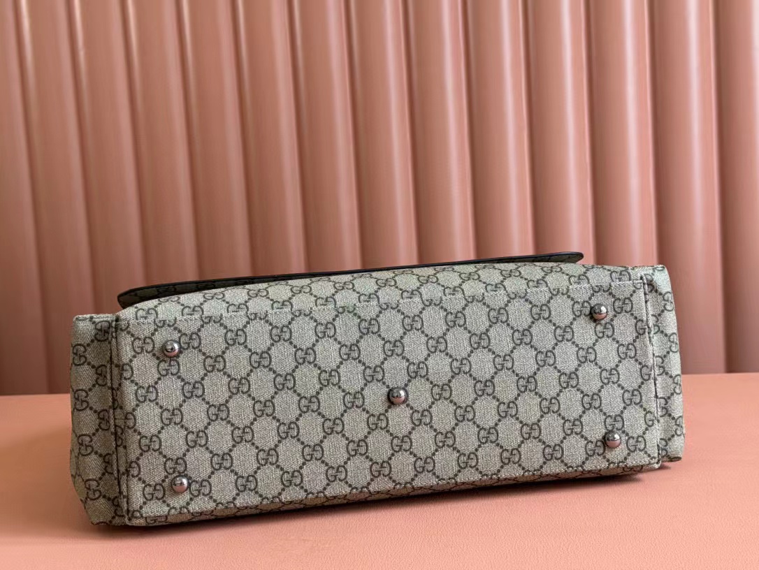17.3″x11″x5.5″ Adjustable Straps Handbag BB-921137