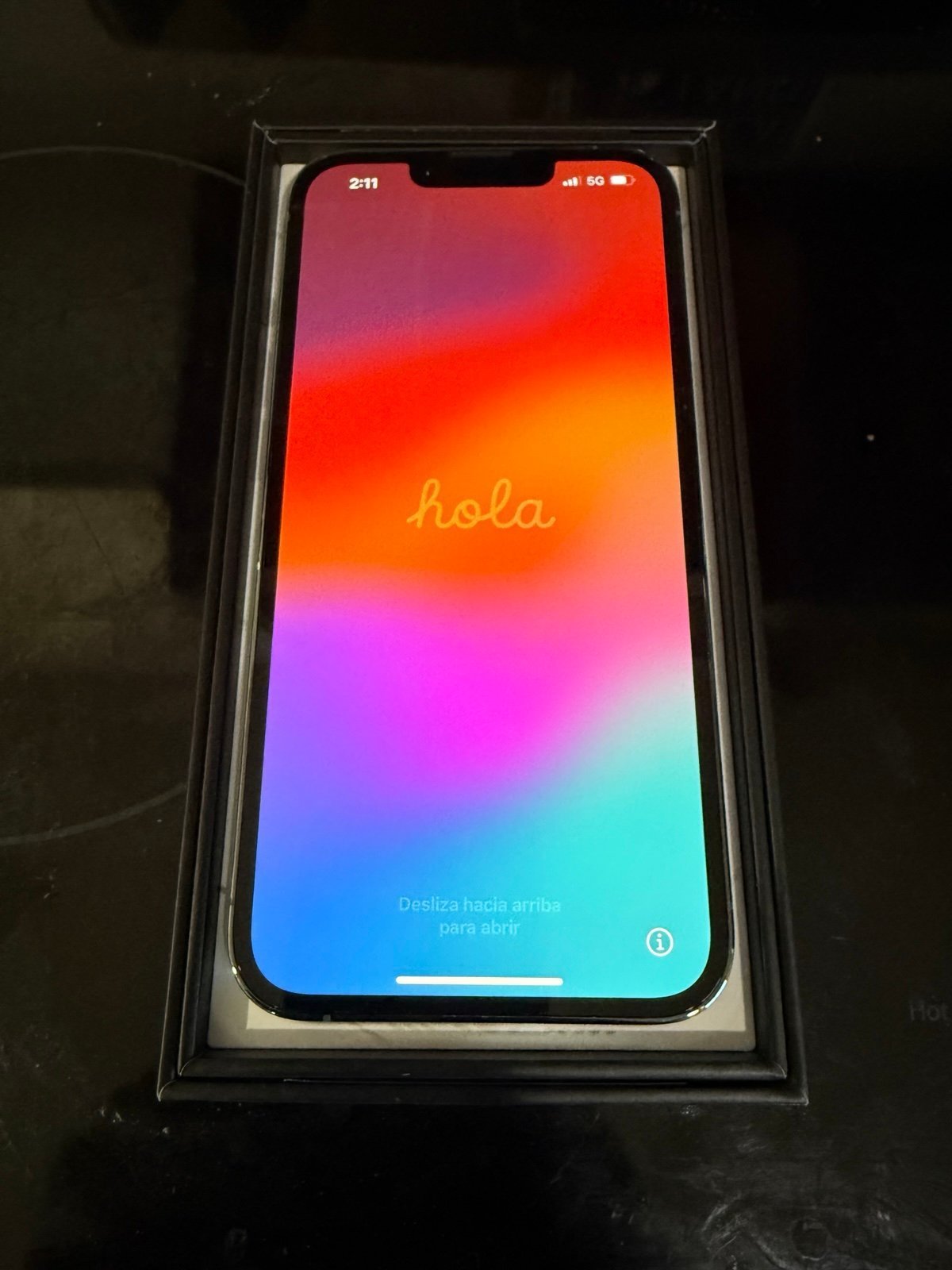 iPhone 13 Pro 1D87