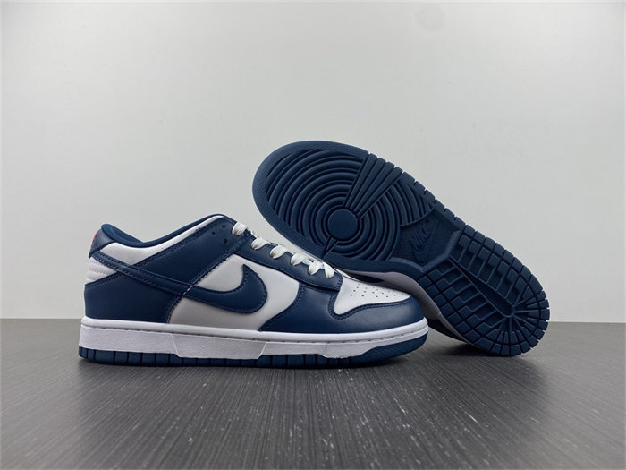 NK Dunk Low Valerian Blue DD1391-400