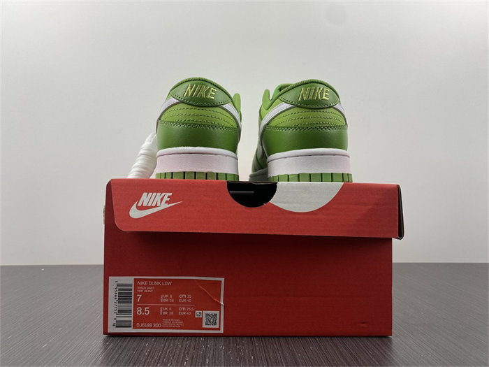 NK Dunk Low Chlorophyll DJ6188-300