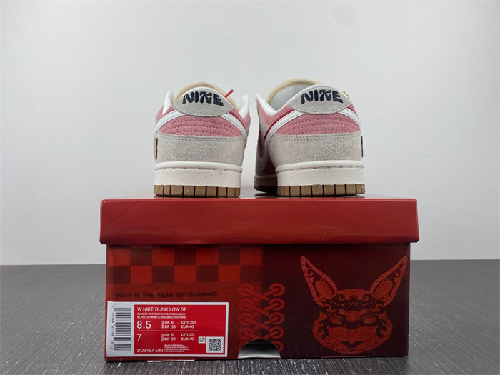 NK Dunk Low SE DO9457-110