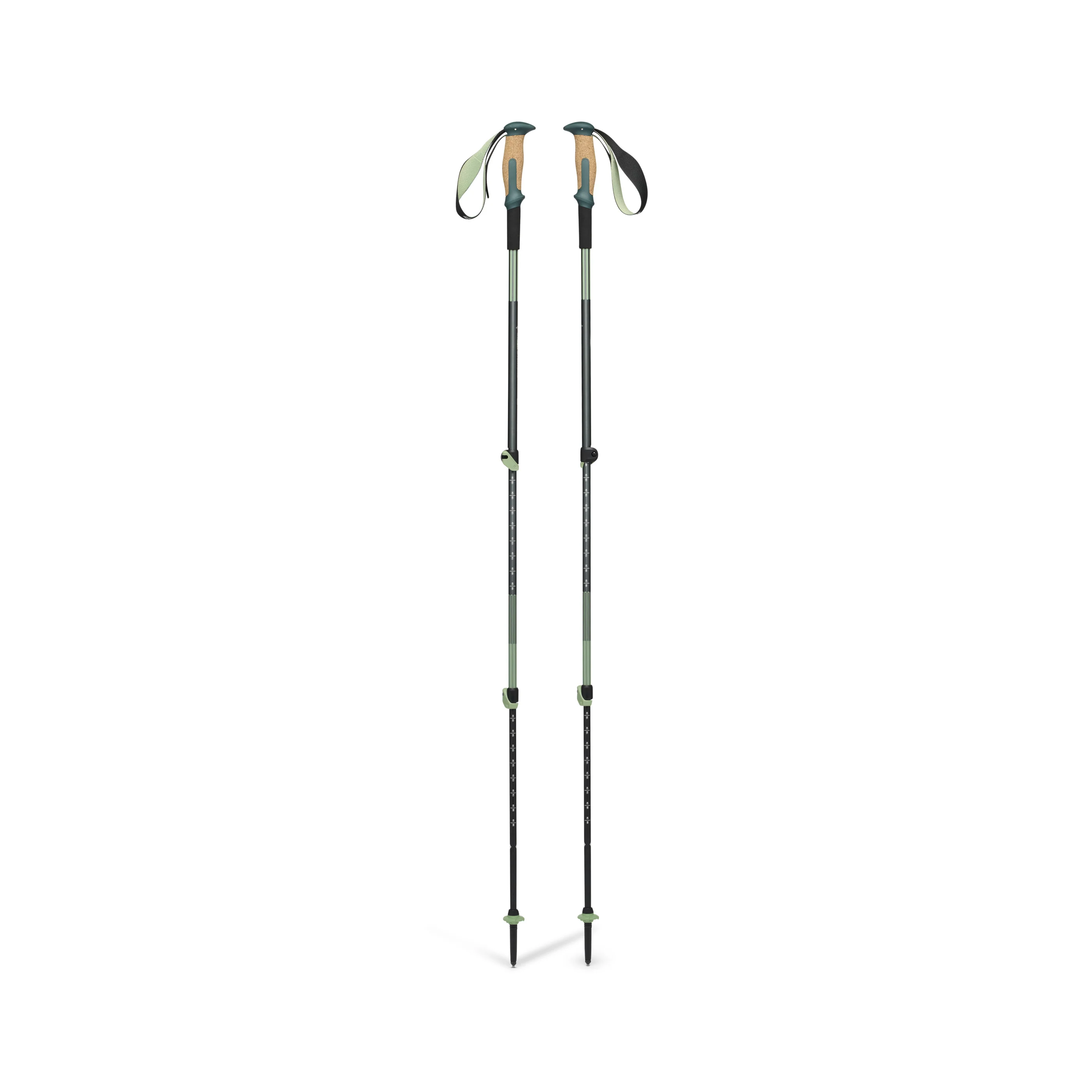 Trail Vista Shock Trekking Poles
